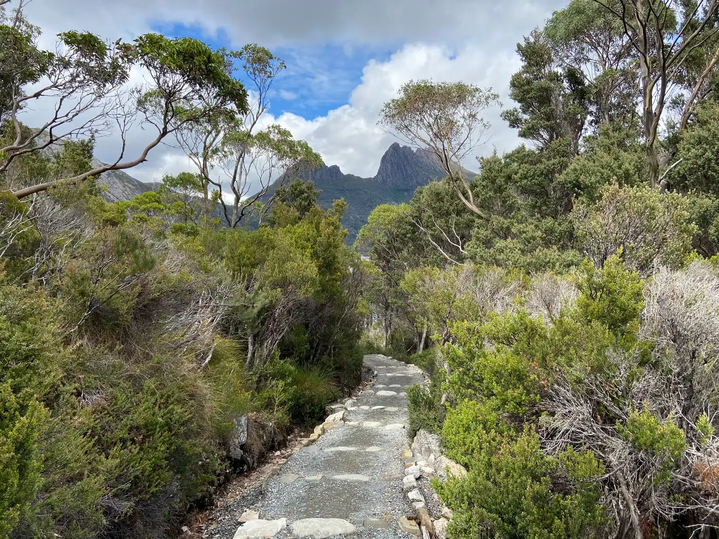 Boardwalk track leading towards Cradle Mountain summit