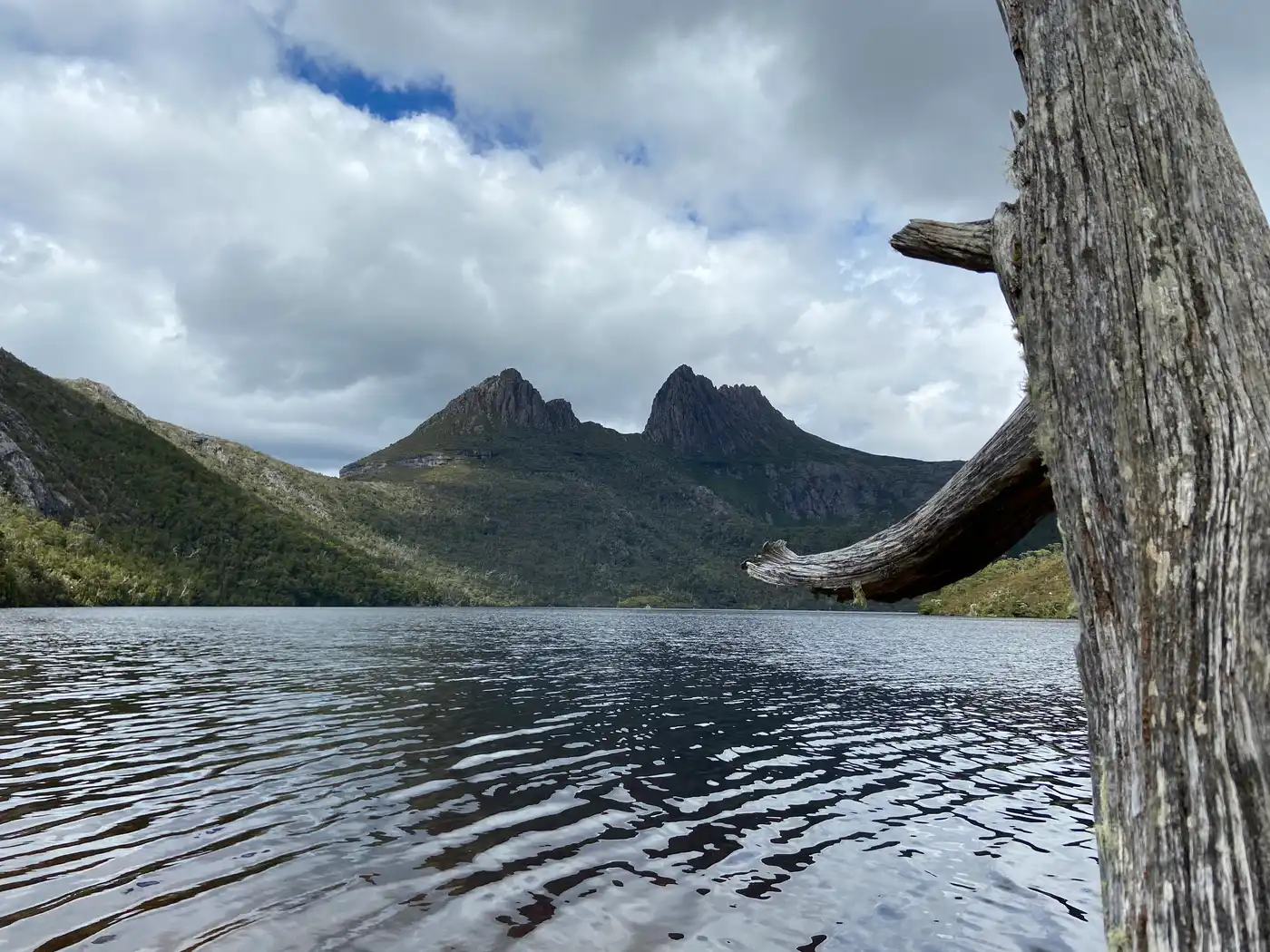 Cradle Mountain through dead tree branch over Dove Lake
