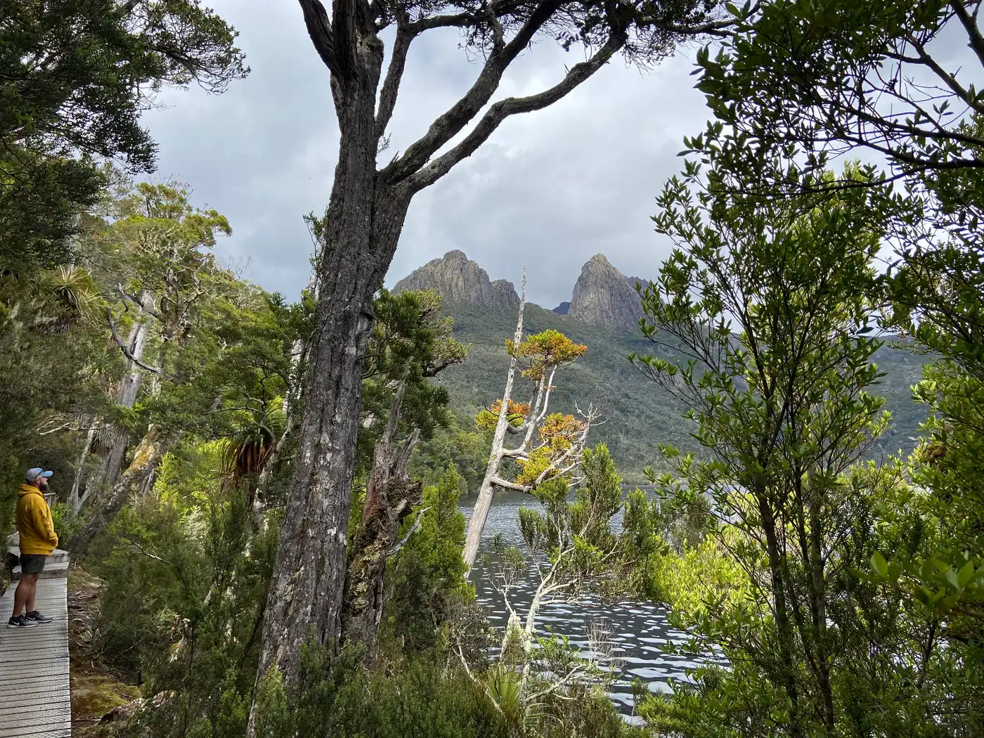 Crater Lake through trees from the walking track
