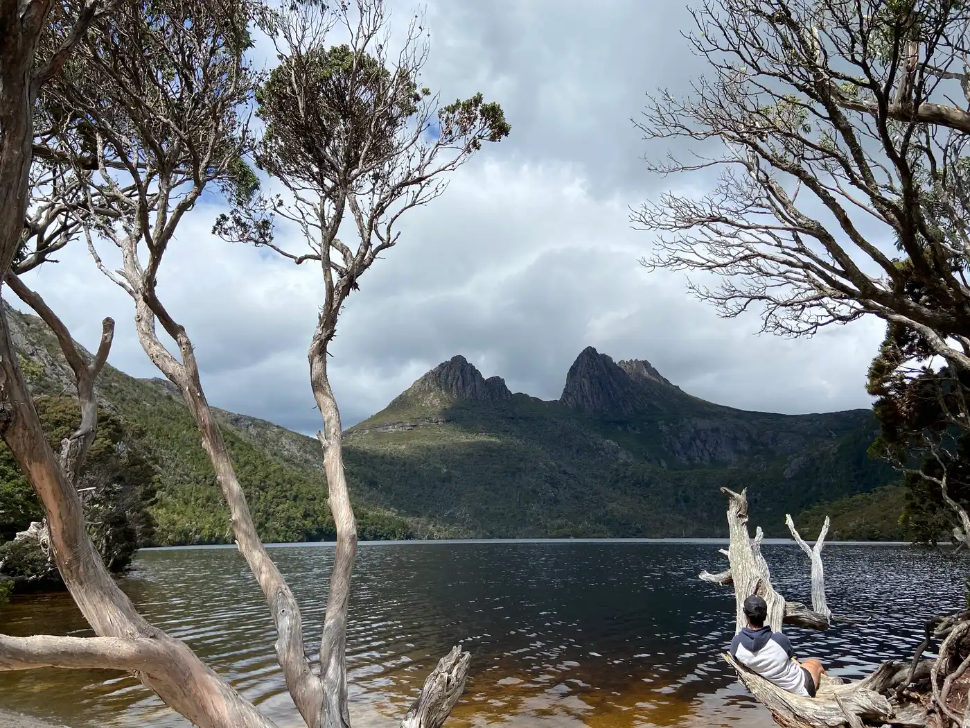 Dove Lake framed by pencil pines with Cradle Mountain