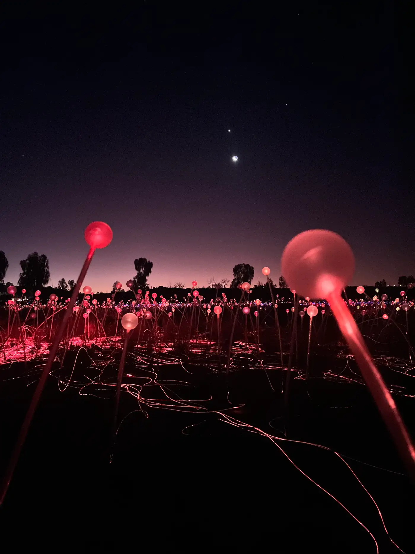 Pink and red frosted glass spheres with fibre optic cables visible across desert ground