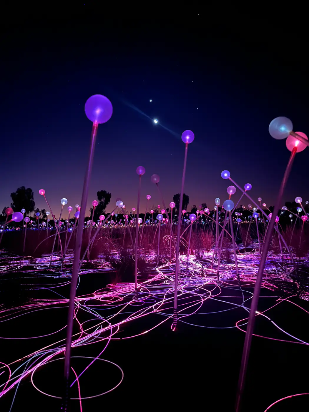 Purple and pink frosted glass spheres of Field of Light under stars