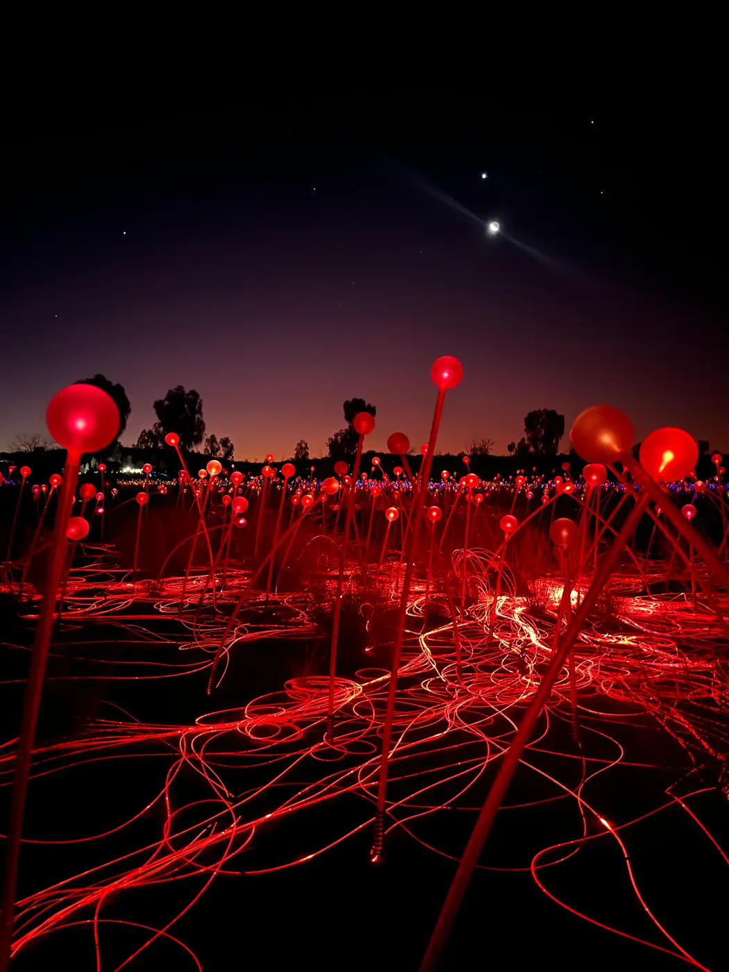 Close-up of red glowing spheres at Field of Light installation