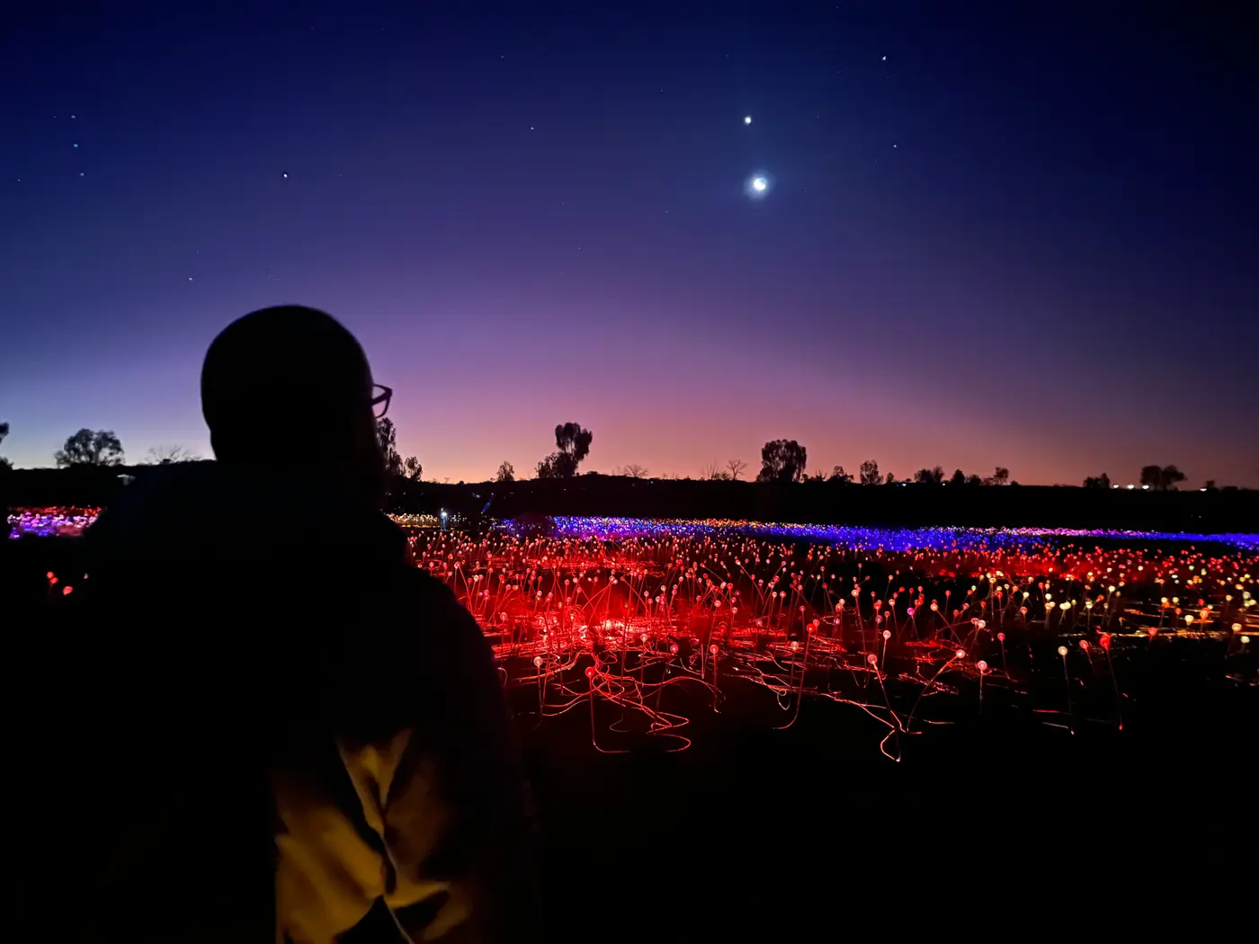 Silhouette overlooking Field of Light with red and blue lights stretching to the horizon