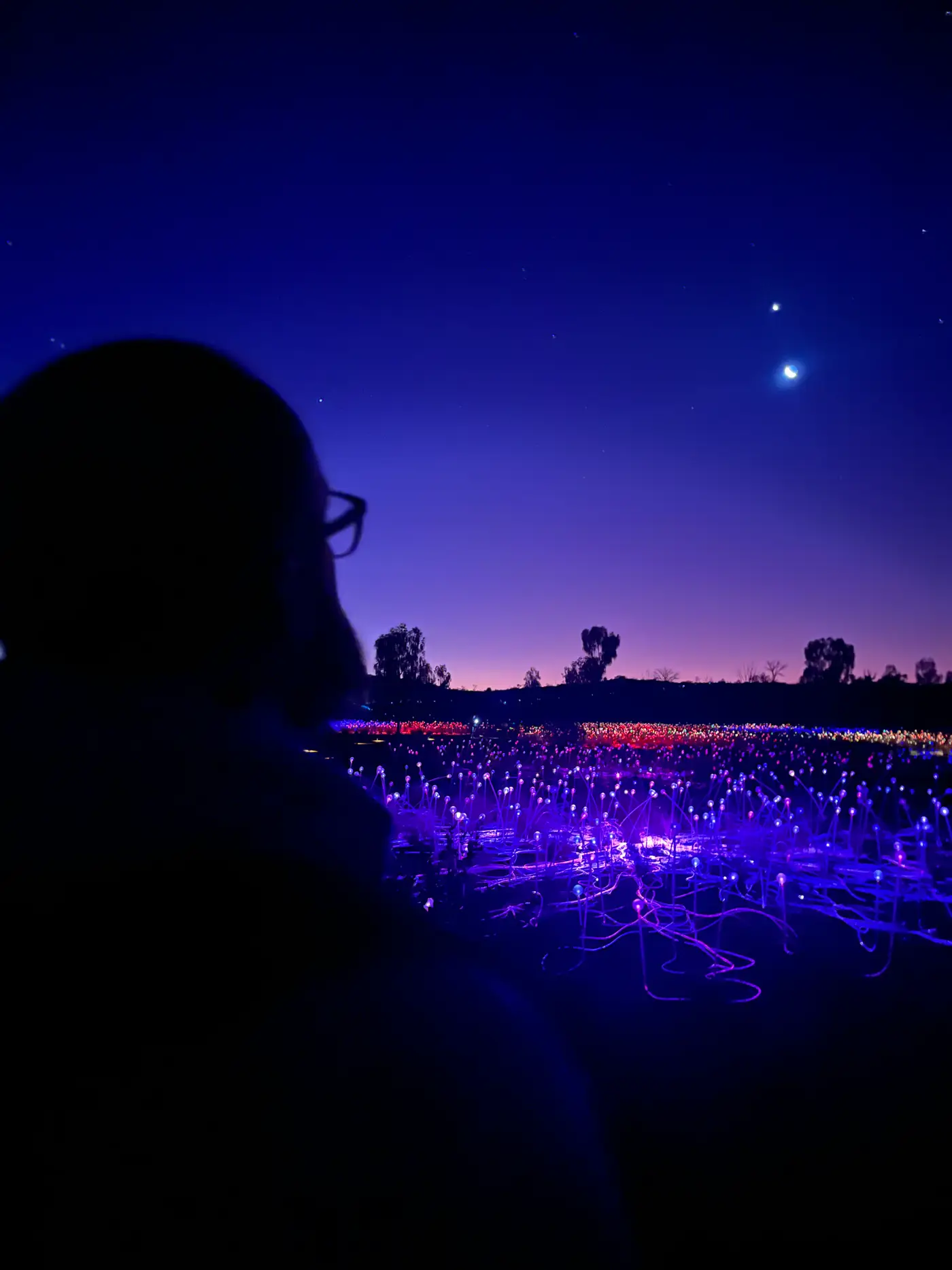 Visitor silhouette looking out over blue glowing Field of Light with moon and twilight
