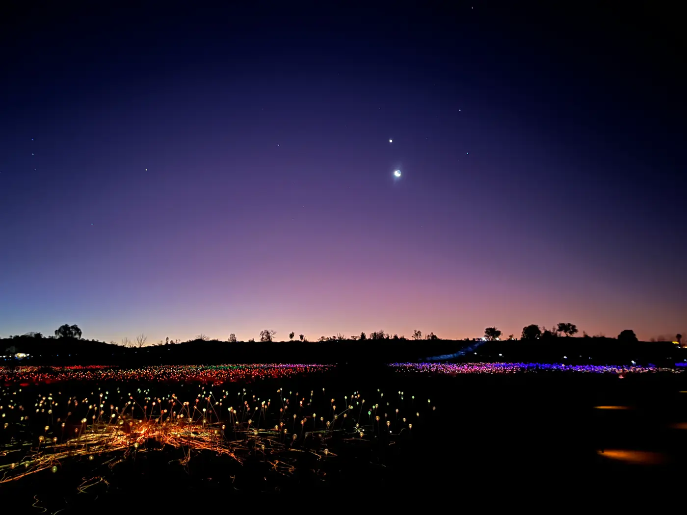 Field of Light warm golden and pink glow with moon above the desert horizon