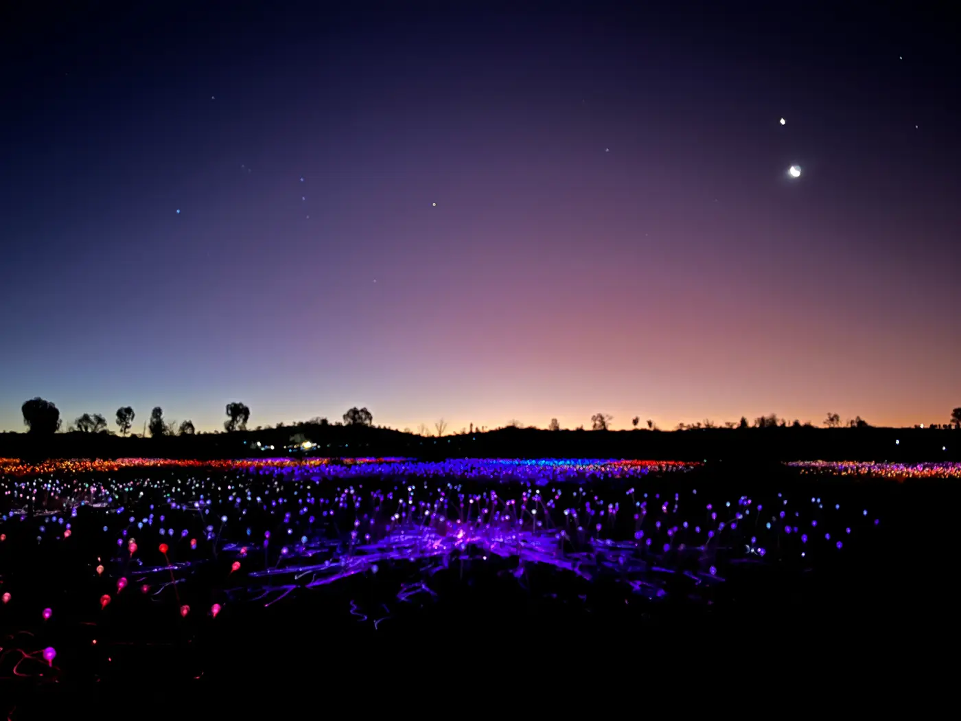Field of Light stretching across the desert with moon and twilight sky