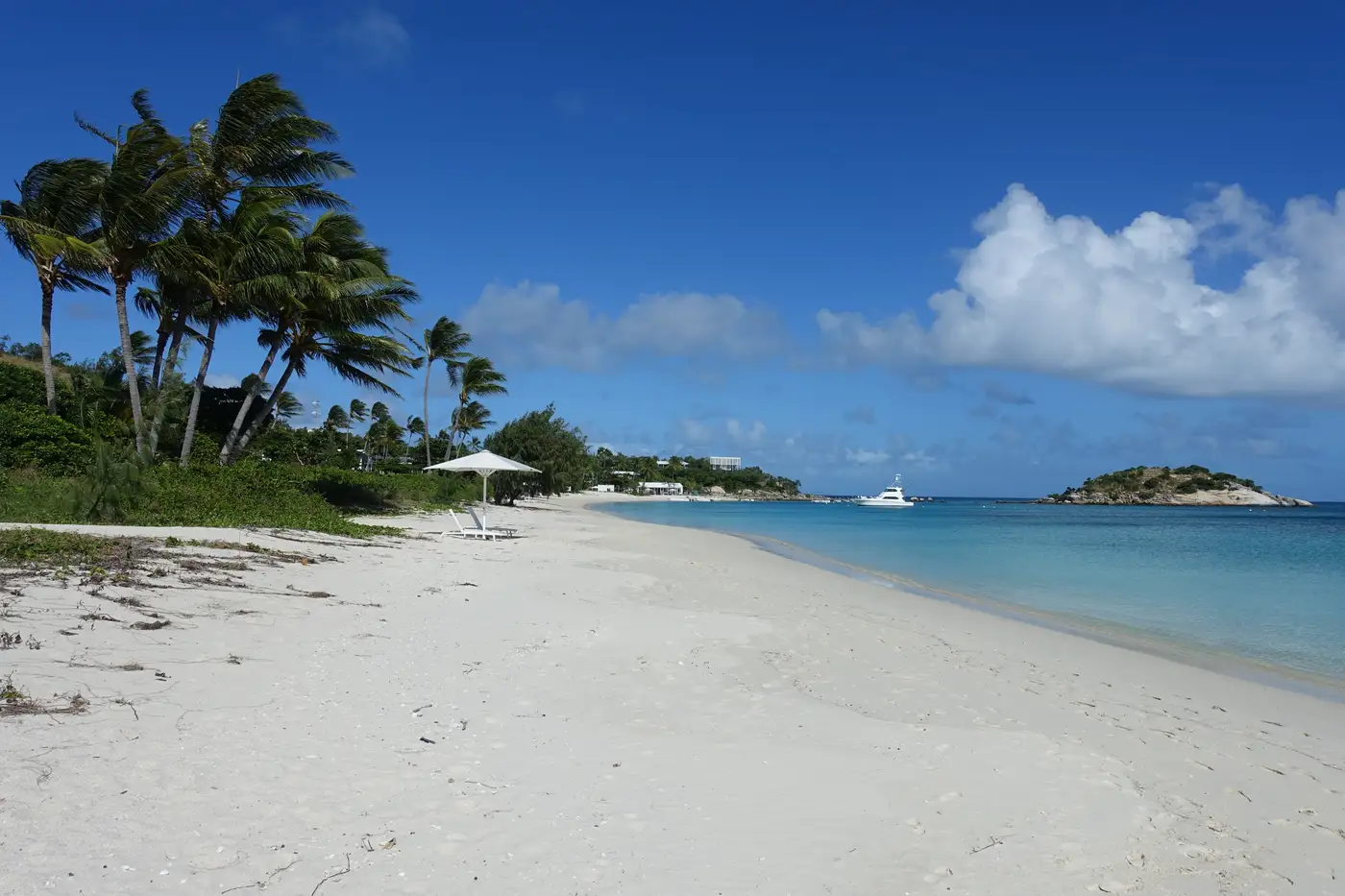 White sand beach lined with palm trees on Lizard Island in the Great Barrier Reef