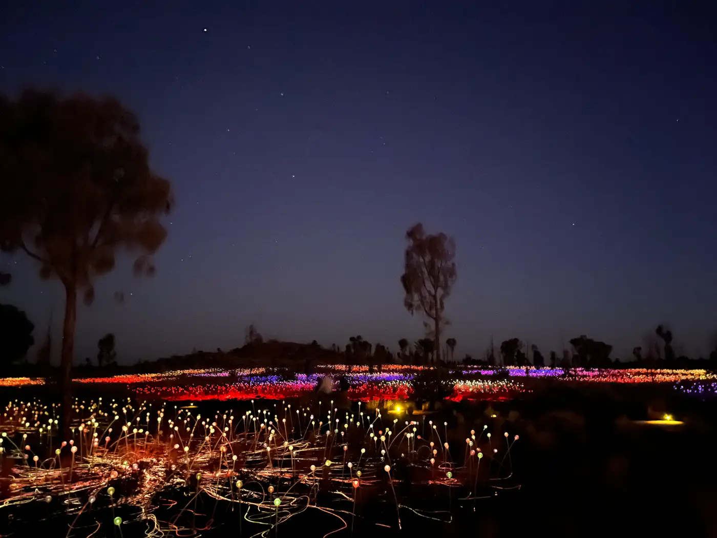 Field of Light installation at Uluru with thousands of multicoloured glass spheres glowing across the desert at night