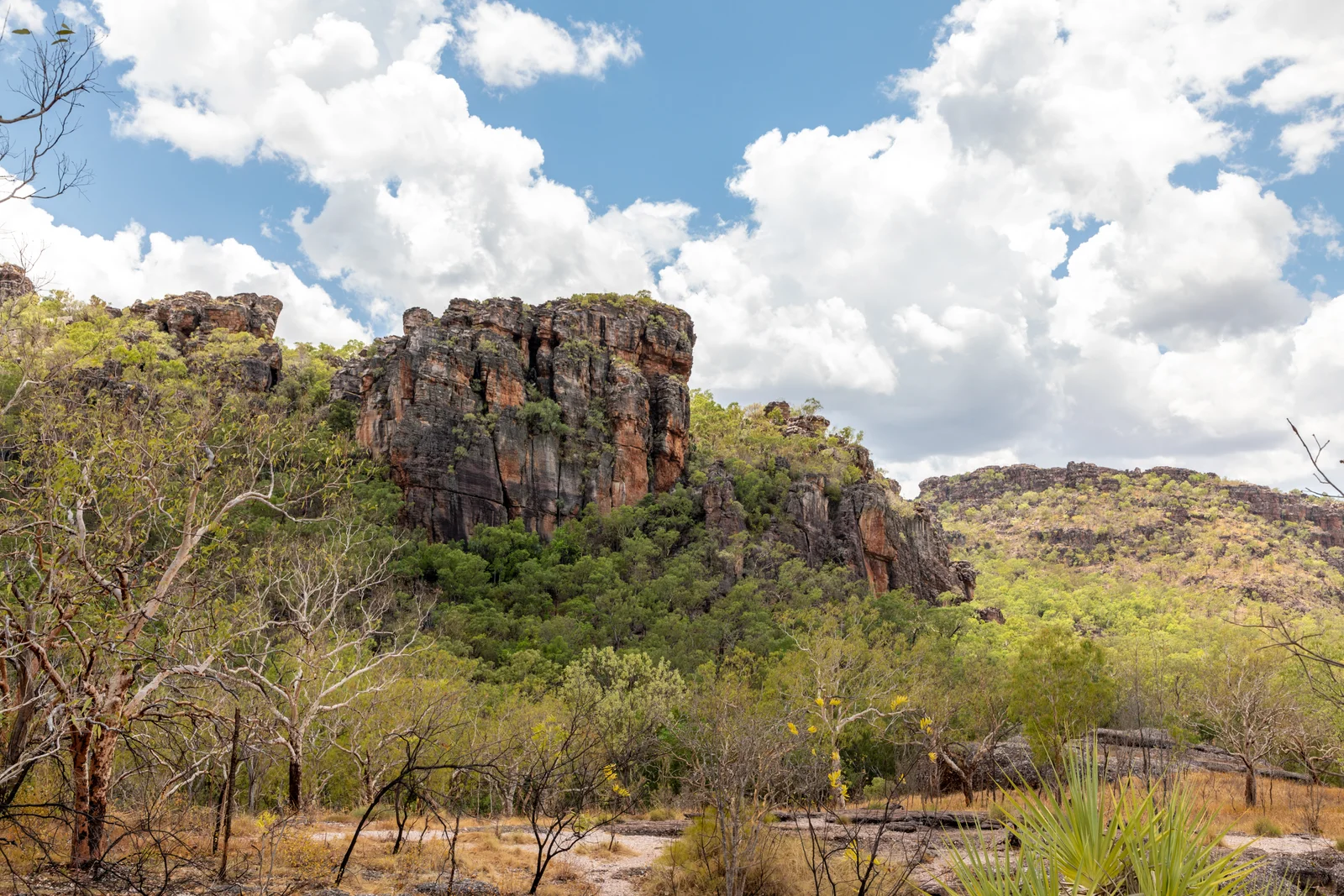 Sandstone escarpment view from Gunwarrdehwarrde Lookout, Kakadu National Park