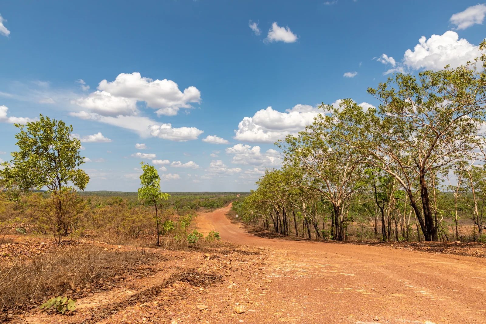 Tropical savanna and woodland along Marrakai Road, Kakadu National Park
