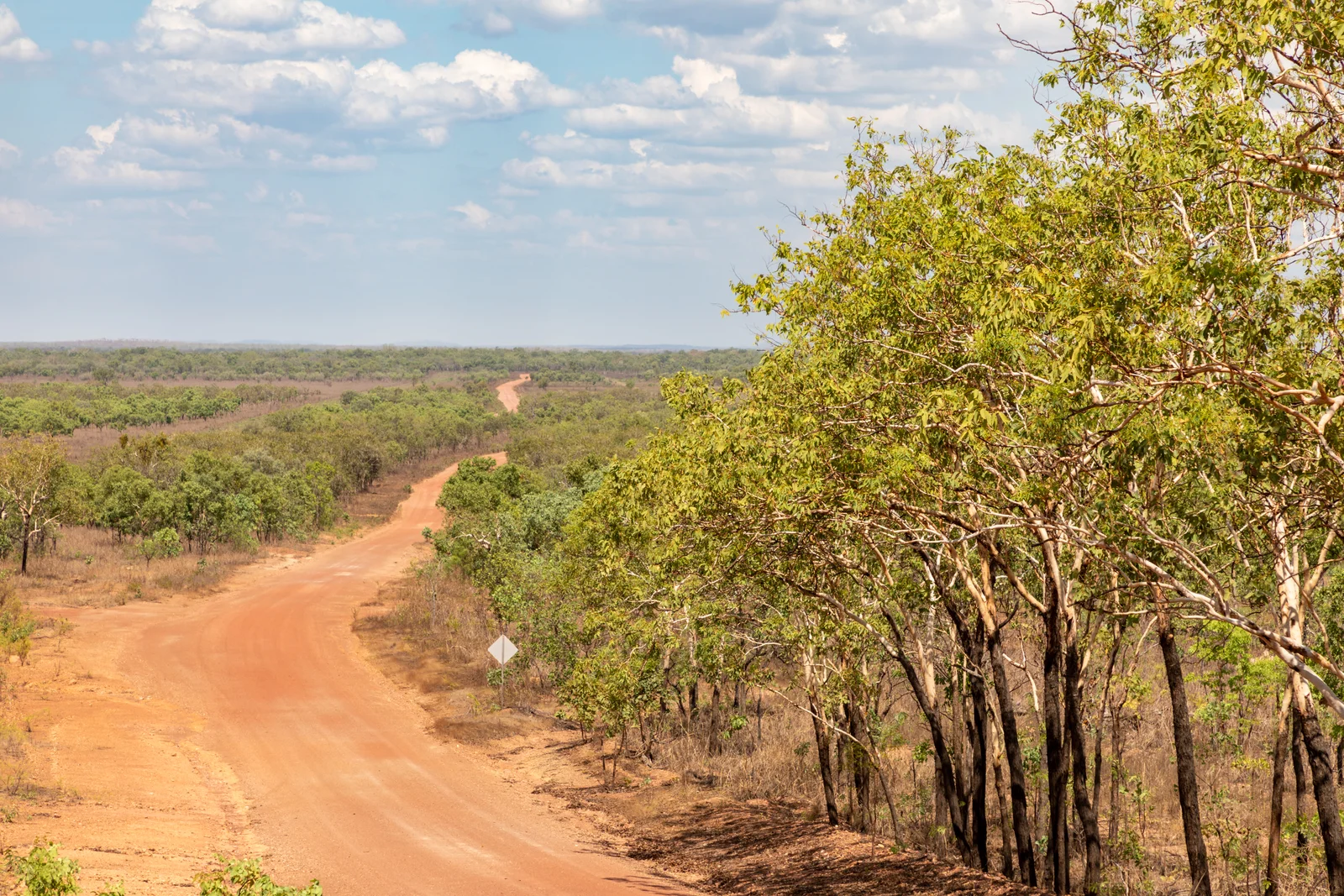 Eucalypt savanna landscape on Marrakai Road, Kakadu, dry season