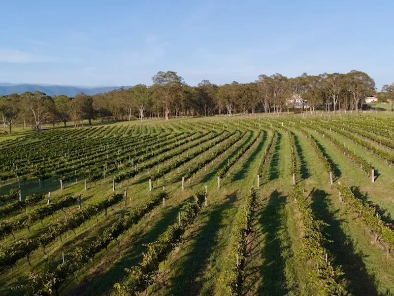 De Iuliis winery in Pokolbin, NSW