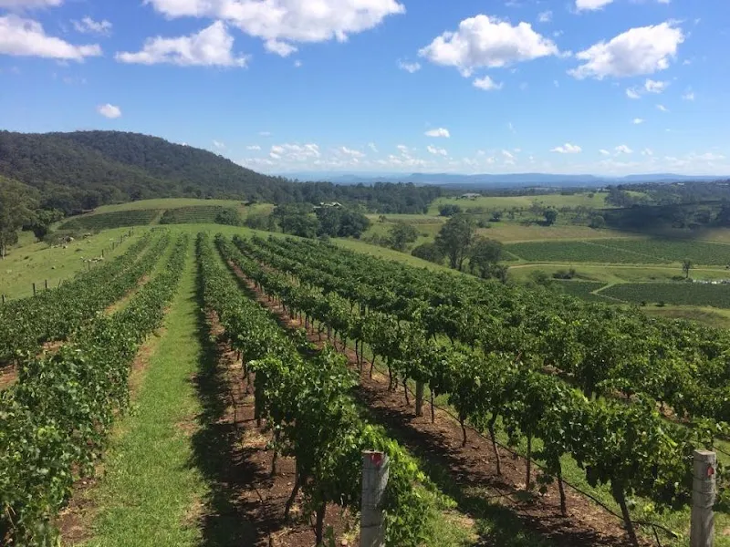 Sevenoaks Wines winery in Jerrys Plains, NSW