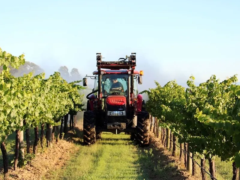 Chocolate Hills winery in Muswellbrook, NSW