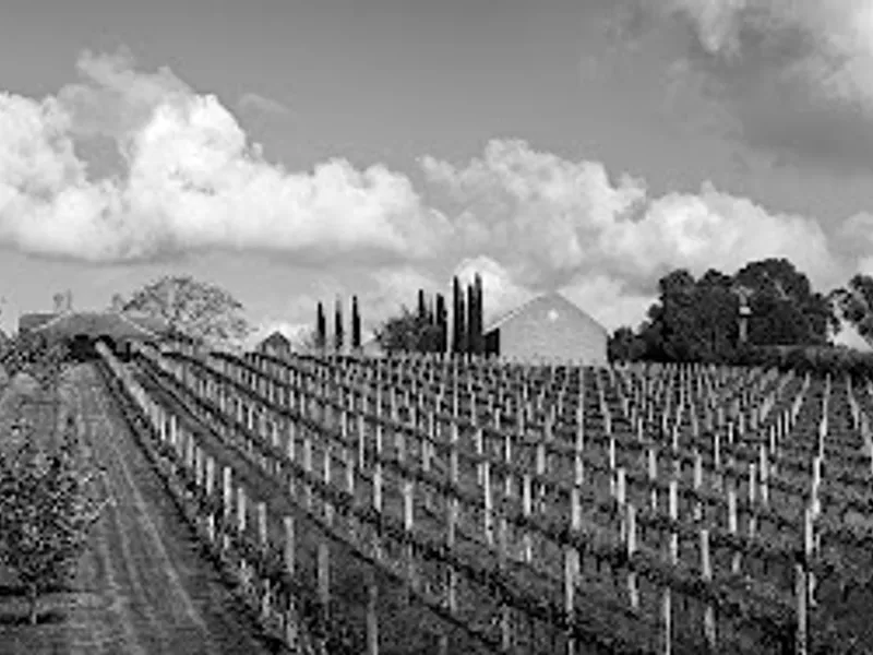 Willow Creek Vineyard winery in Merricks North, VIC