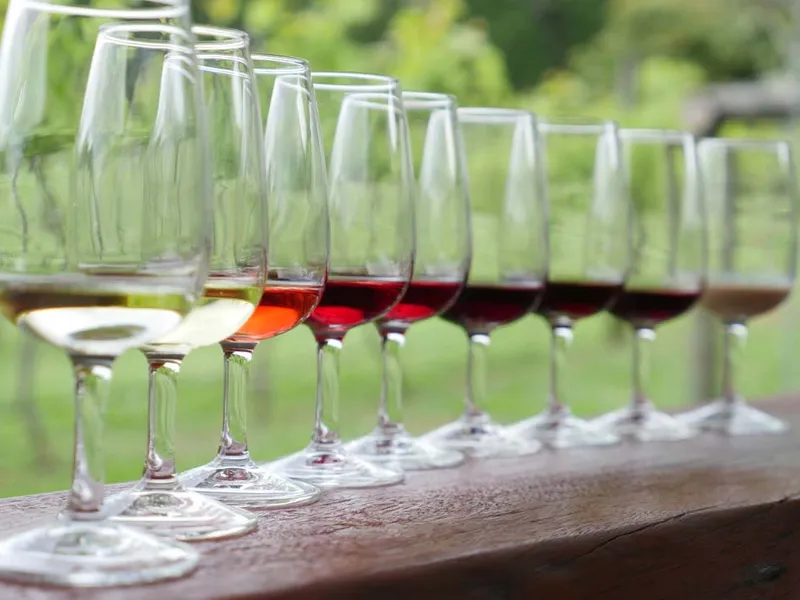 The Queensland Wine Centre winery in QLD