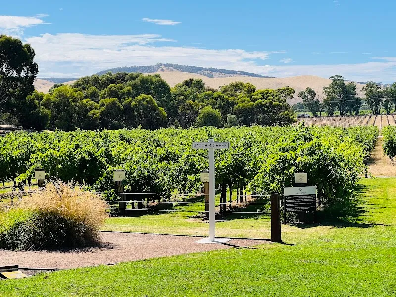 Jacob's Creek Visitor Centre winery in Rowland Flat, SA