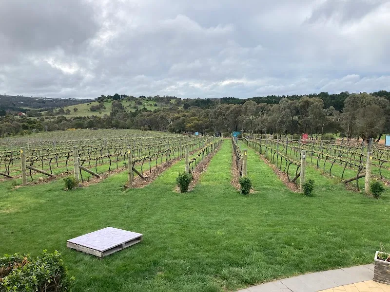 Contentious Character Urban Winery winery in ACT