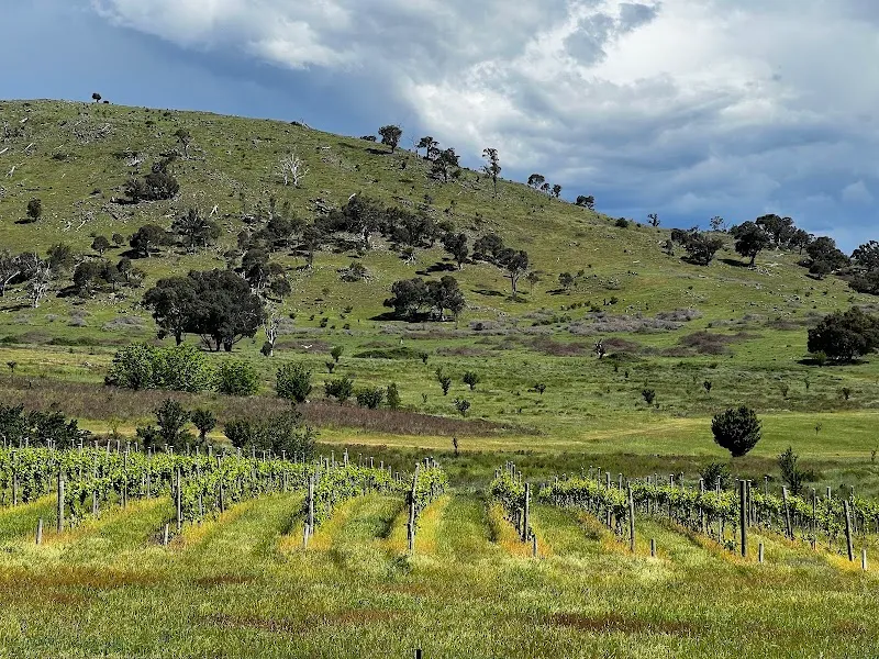 Surveyor's Hill Winery winery in ACT