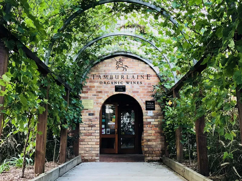 Tamburlaine Organic Wines winery in Pokolbin, NSW