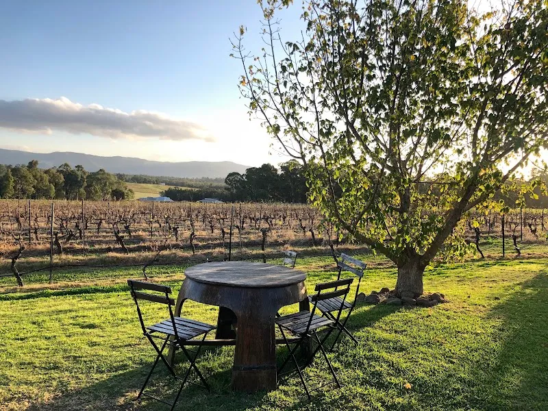 Hope Estate winery in NSW