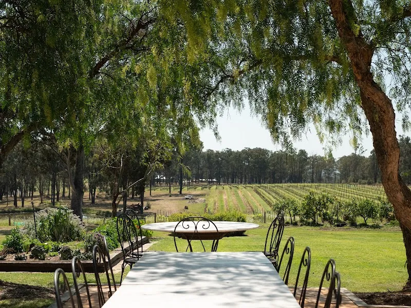 Mount View Estate winery in Mount View, NSW