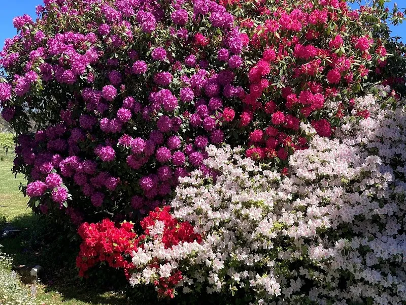 Lowe Family Wine Co winery in Eurunderee, NSW