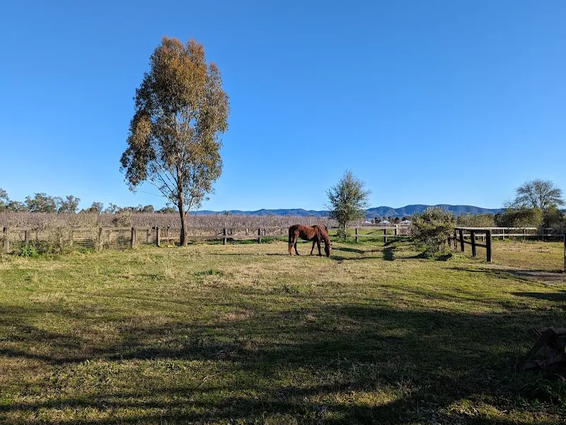 10’s Estate winery in Eurunderee, NSW