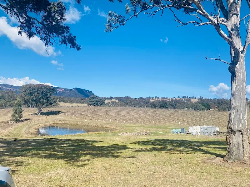 ThumbPrint Wines winery in NSW