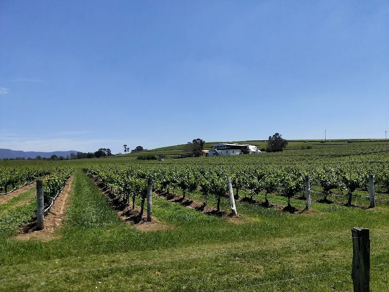 Wombat Crossing winery in Pokolbin, NSW