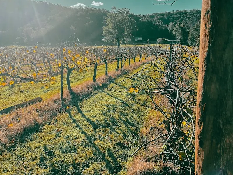Tizzana Winery winery in Ebenezer, NSW