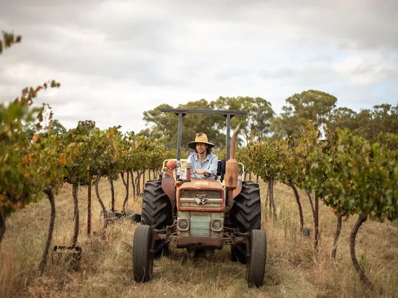 Tamburlaine Organic Wines winery in NSW