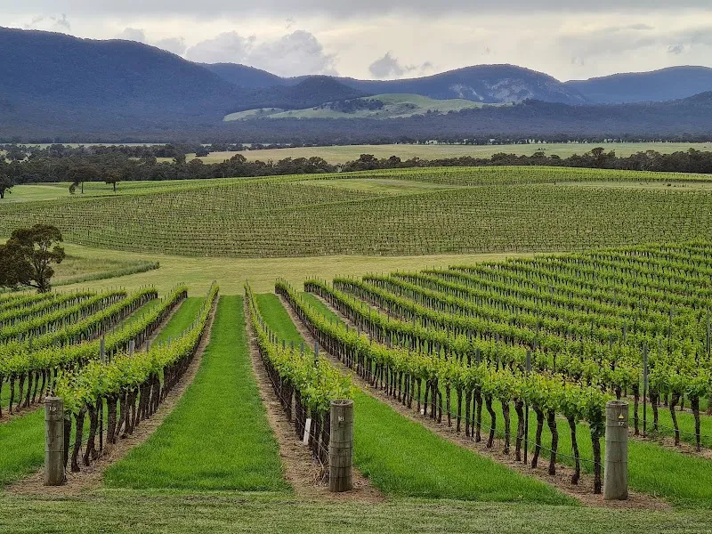 King River Estate winery in VIC