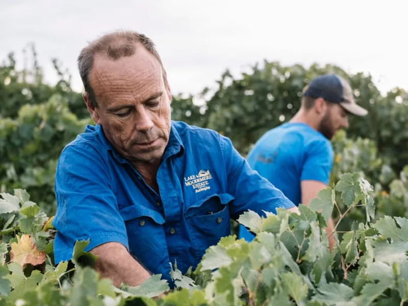 Lake Moodemere Vineyard winery in Rutherglen, VIC