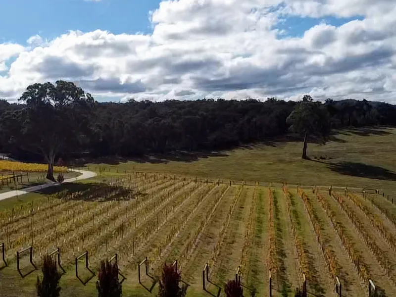 Morrisons Winery winery in Glenrowan, VIC