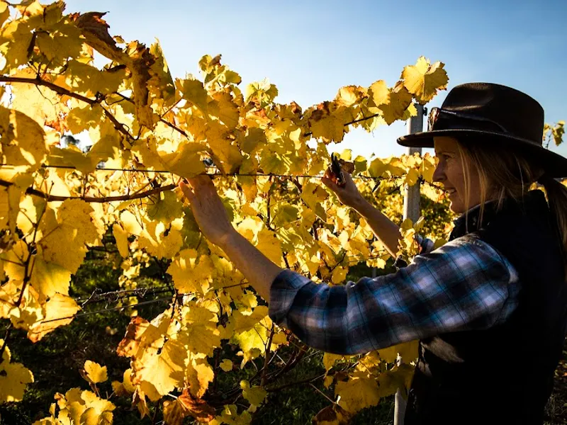 Montara Wines winery in Ararat, VIC