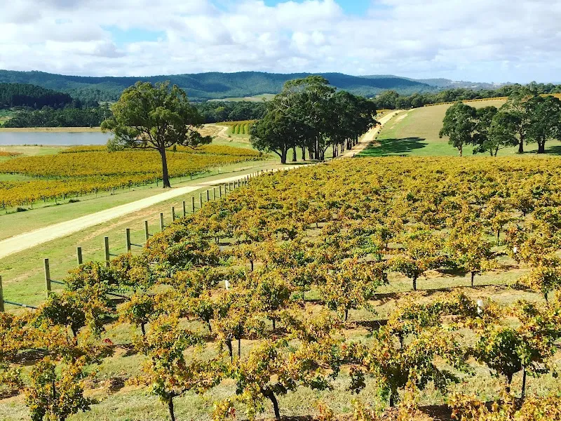 Norton Estate winery in Lower Norton, VIC