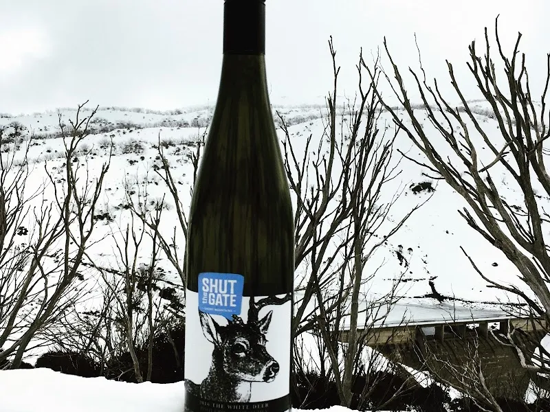 Quoin Hill Vineyard winery in Waubra, VIC