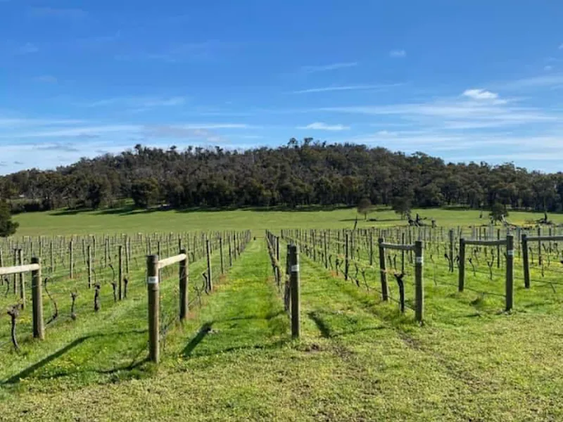 Bellbrae Estate winery in VIC