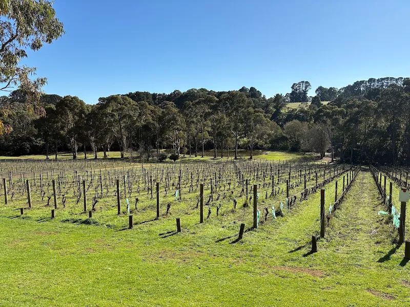 The Gurdies Winery winery in The Gurdies, VIC