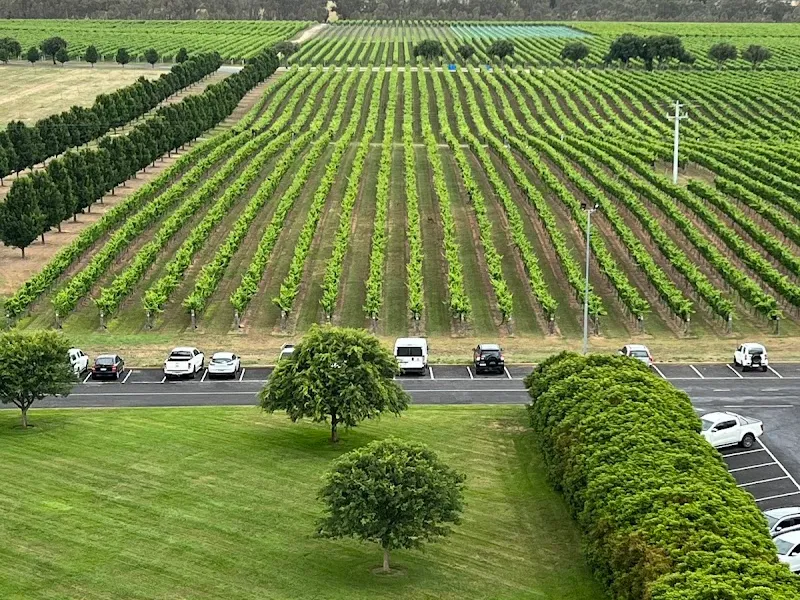 Boat O'Craigo winery in VIC
