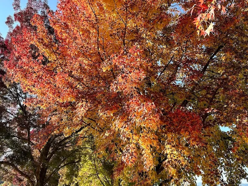 Jack Rabbit Winery winery in VIC