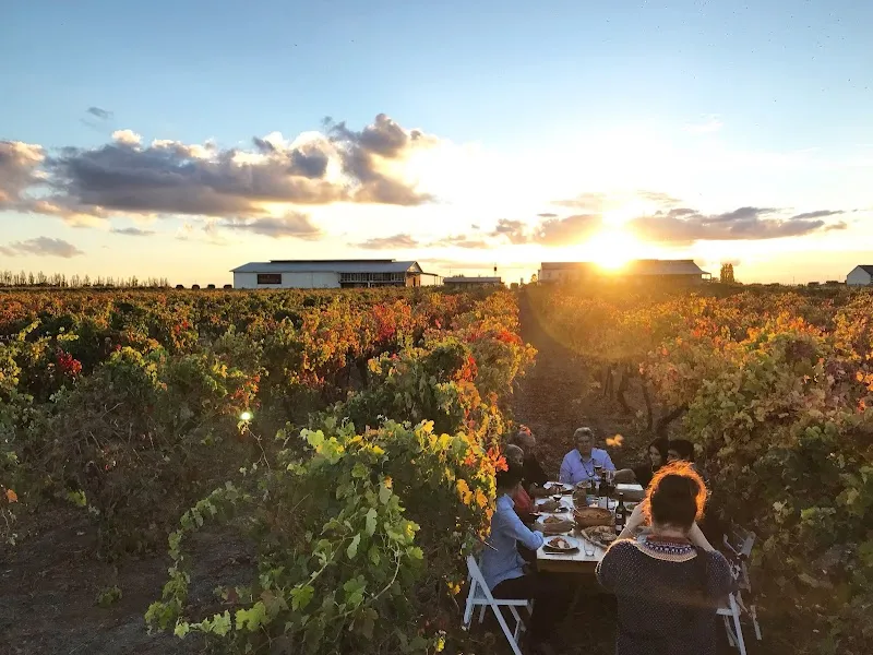 Hills of Promise winery in QLD