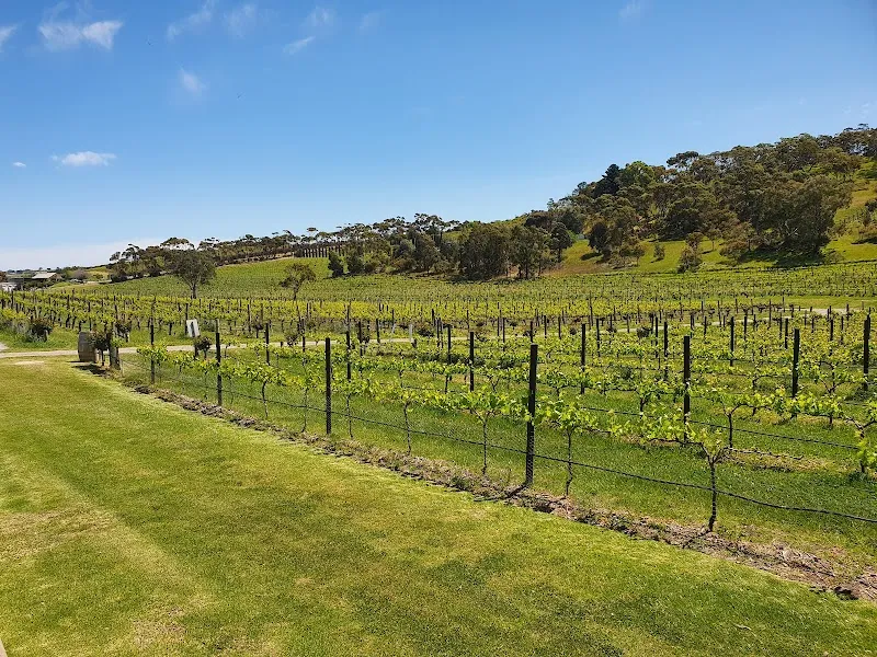 Mr. Riggs Wine Co. winery in SA