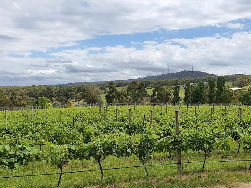 Pernod Ricard Winemakers (Vinarchy) winery in SA