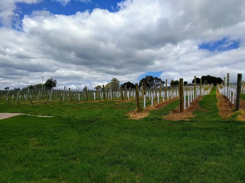 Southern Secret Wines winery in SA