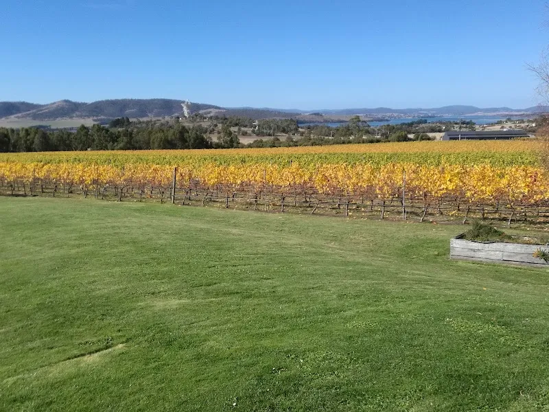 Mallee Estate winery in SA