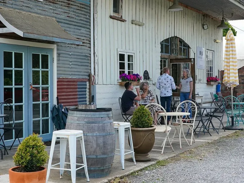 Swinging Gate Vineyard winery in Sidmouth, TAS