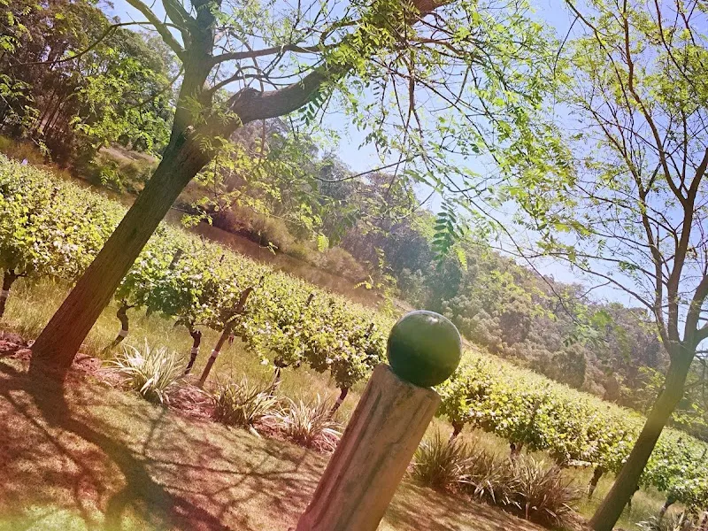 Little River Winery and Café winery in WA